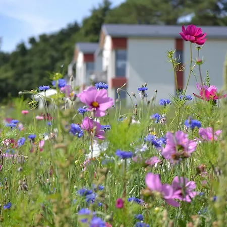 Hotel Les Hauts De Toulvern